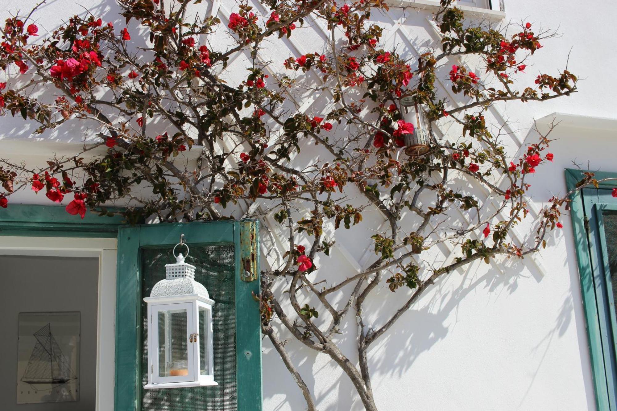 La Mansarda Sul Porto Apartment Ponza Luaran gambar